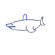 Signal_Shark
