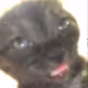 Noms15