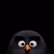0x6e696daab8eeb2550436603ed4b0b1efca6f9d8b