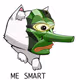 PepeNeko