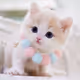 buttons_casper