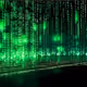 NEO_irl
