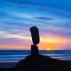 NatureBalancing