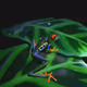 0x6ebb9cf953c5563fed030d93fc74ff9340826b10