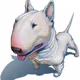 Bullterrier_NL