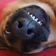 squeeezie