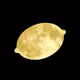 Le_MOON