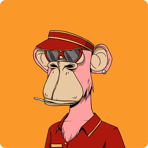 OpenSea profile picture for @nouh