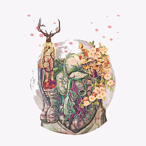 OpenSea profile picture for @tingling