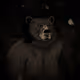 0x6f21edf36b56471ebf429784fd685b9a647960df