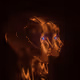 0x6f24958faea8d8c17ef9a02842344f314bf2877b
