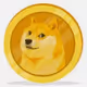 FOMOPIG