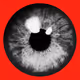 0x6f5b9aa5deb2f4f3651a5a6a0d43432499754e8e