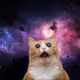 0x6f699f3023d257241502b6be3cead9cffff2544b