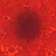 0x6f85e4156c34c5f8fdc795982aa5a665cc491896