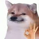 Letmepoop