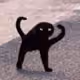 Notkeith_botch
