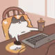 workcatt