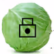 CabbageVault