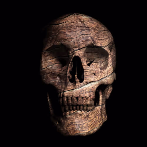 OpenSea profile picture for @Hasty