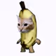 Fuyuboyo