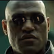 WakeUpNeoTheMatrixHasYou