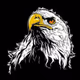 0x70669b31655ea4bd1f61a19e3bf48e06a7a28ba4