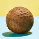 coconutdao
