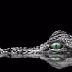 Croc_99
