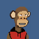clever-monkey