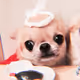stephen_02