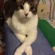 chubbymomo