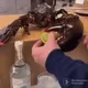 EVMSniper
