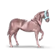 Darcalot