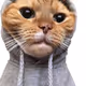 0x7118bd90e8e8ac4b77694e5df8dca059980c6ef9