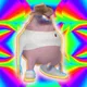 flappyslippers
