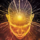 firstbrain