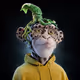 NewNFT_collector777