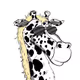 JonaDunk