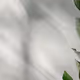 0x71946cff97671e221e87225c6ea7f52ed1f79357