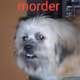 Sidonio