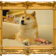 OwnTheDogeCommunity