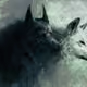 NoxiousWolves