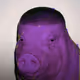 NONSTOPP