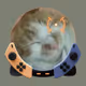 kinguri_san