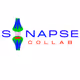 sinapsecollab