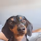 JoeyVersteegh