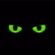 ElusiveCreature
