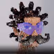 Nastyray
