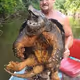 BigTurtleFucker